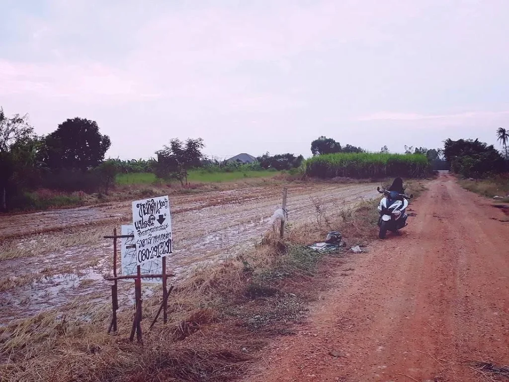 ขายที่ดิน 100 ตรว ใกล้คลองสี่ซอย 68 และสำนักงานข่นส่งปทุมธานี