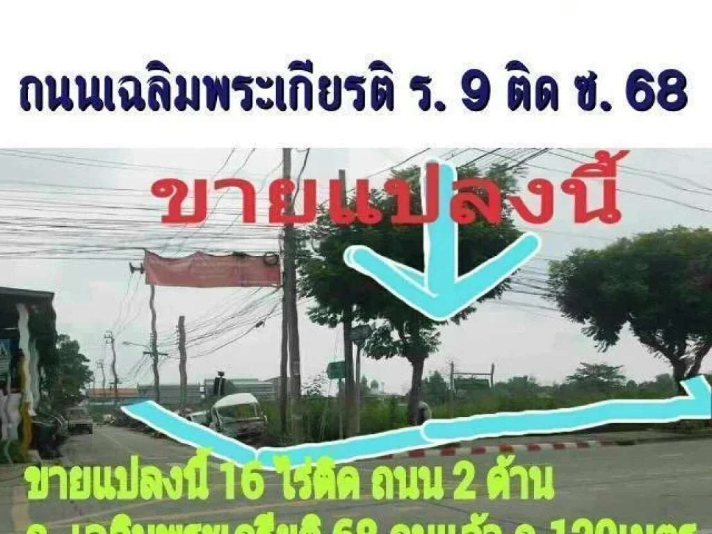 ขายที่ดิน16ไร่เฉลิมพระเกียรติ68ตรางวาละ75000