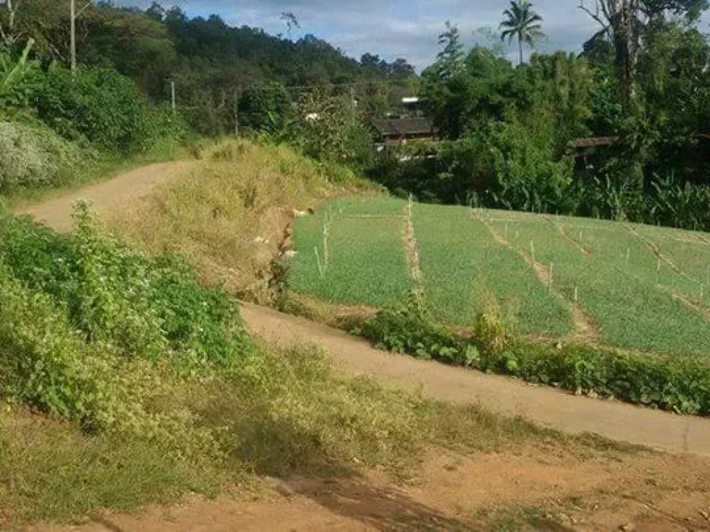 โซนสะเมิงใต้ ที่สวยเชิงดอยวิว360องศา