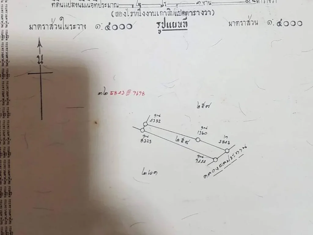 ขายที่นา 2ไร่2งาน