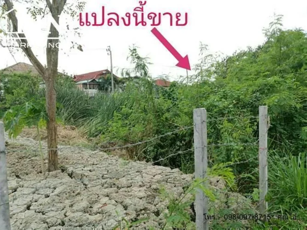 ขายที่ดินเปล่า108 ตรว ซอยรรฤกษบุตร์ ถนนเลียบคลองประปา-ประชาชื่น