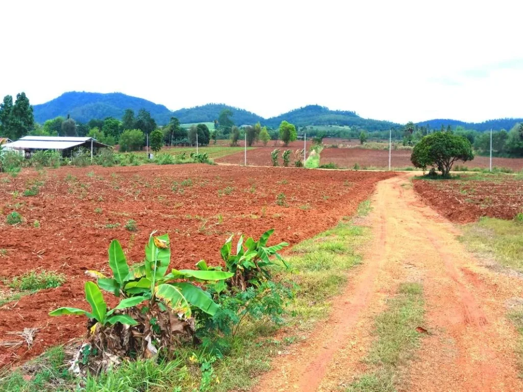 ที่วิวสวย คลองม่วง ปากช่อง