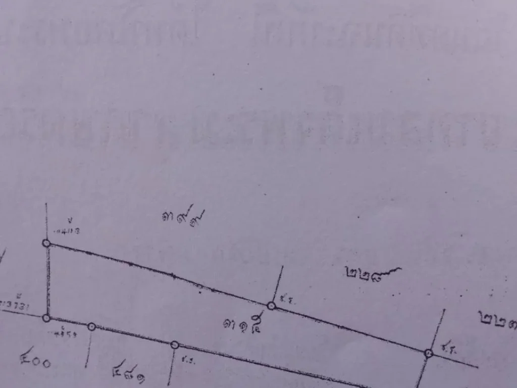 ขายที่ดินมีโฉนด จำนวน 13 ไร่