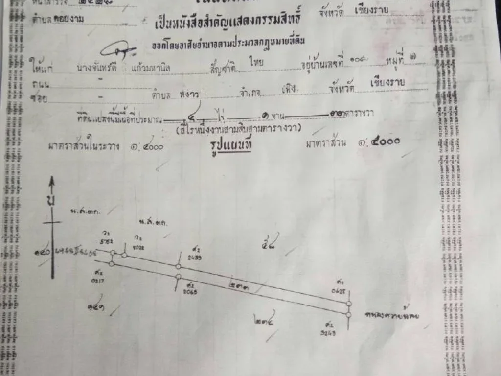 ขายที่ดินใกล้หลุดจำนอง ที่ดินอยู่ใจกลางหมู่บ้าน เชียงราย