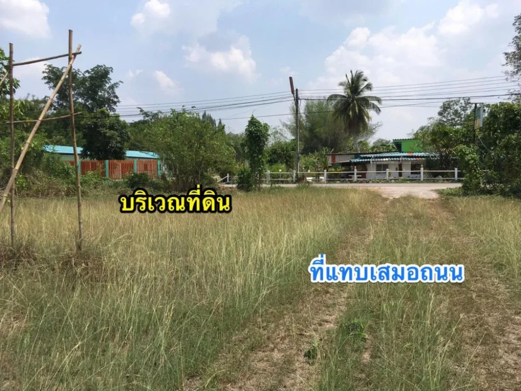 ขายที่ดินหลังราชฎัฏจอมบึง