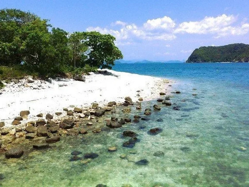 ขายที่ดินพร้อมท่าเรือบนเกาะส่วนตัวมัดสุม เกาะสมุย สุราษฎร์ธานี STUNNING PRIVATE ISLAND OFF KO SAMUI WITH FRESH WATER LAKE AT AN INCREDIBLE PRICE