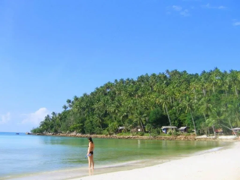 ขายที่ดินเปล่าราคาถูกติดทะเล หาดสลัด เกาะพงัน สุราษฎร์ธานี