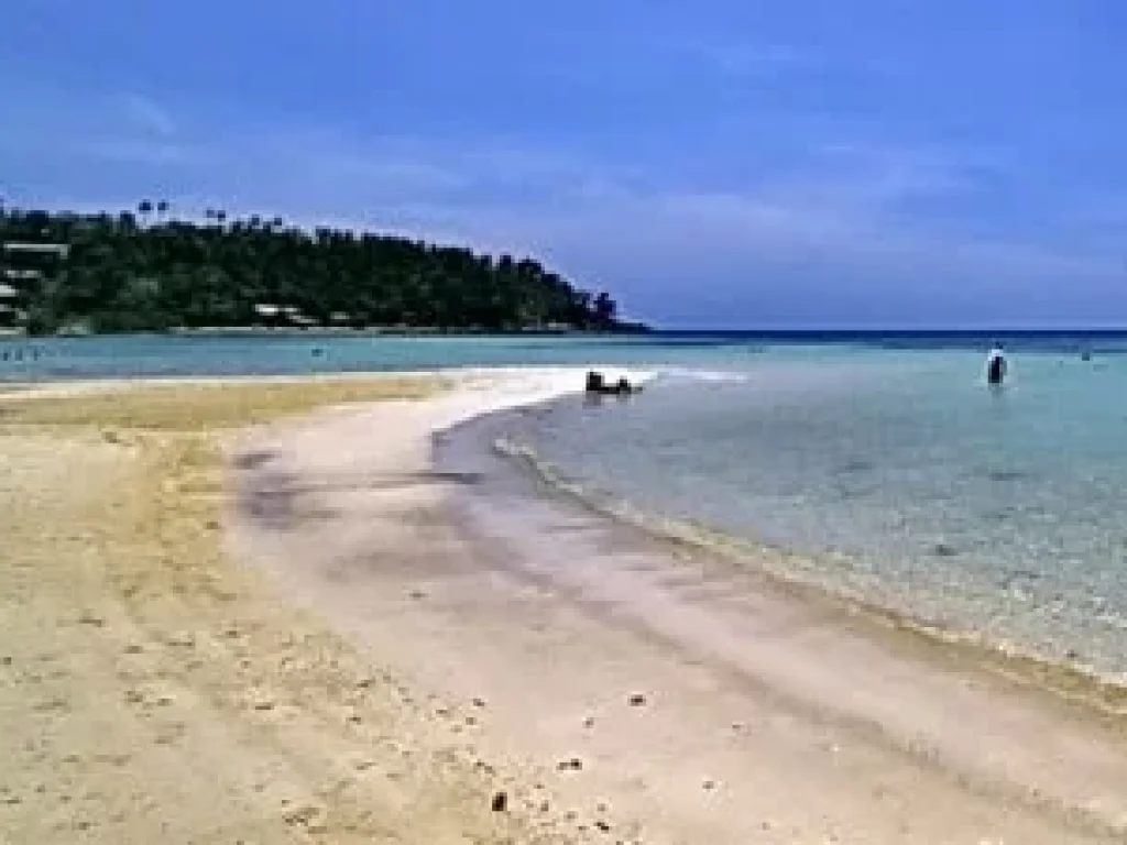 ขายที่ดินเปล่าราคาถูกติดทะเล หาดสลัด เกาะพงัน สุราษฎร์ธานี