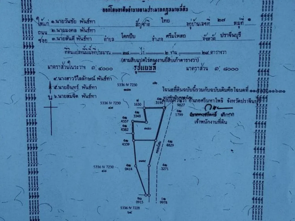 ขายที่ดิน 38 ไร่ 2 งาน 29 ตารางวา จังหวัดปราจีนบุรี