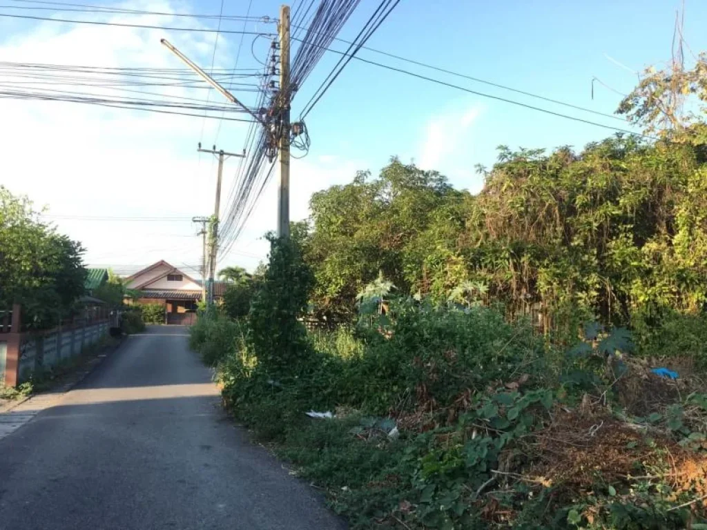 ขายที่ดินห่างตลาดแม่ริม 600 เมตร