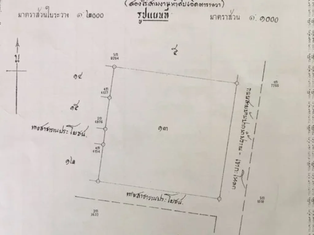 ขายที่ดิน มีโฉนด มีรั่วล้อมรอบ พร้อมออฟฟิศ ไม่รวมต้นไม้