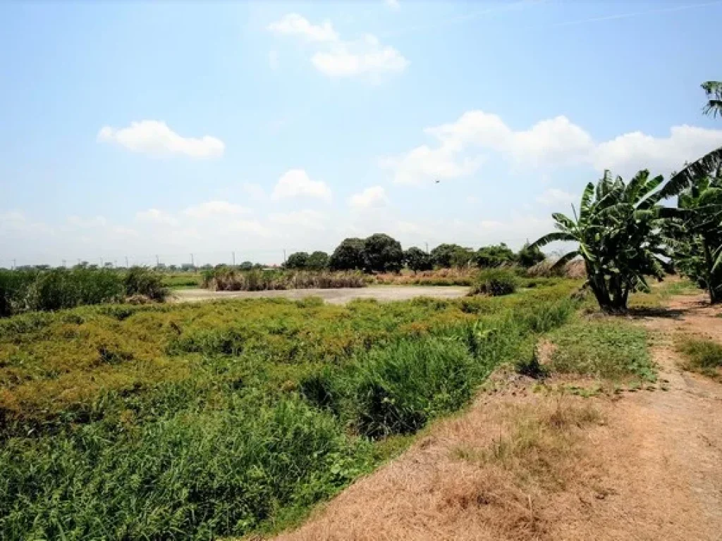 ขายที่ดิน 18 ไร่ ถนนฉลองกรุงซอย 8 ใกล้มอเตอร์เวย์ นิคมลาดกระบัง สนามบินสุวรรณภูมิ