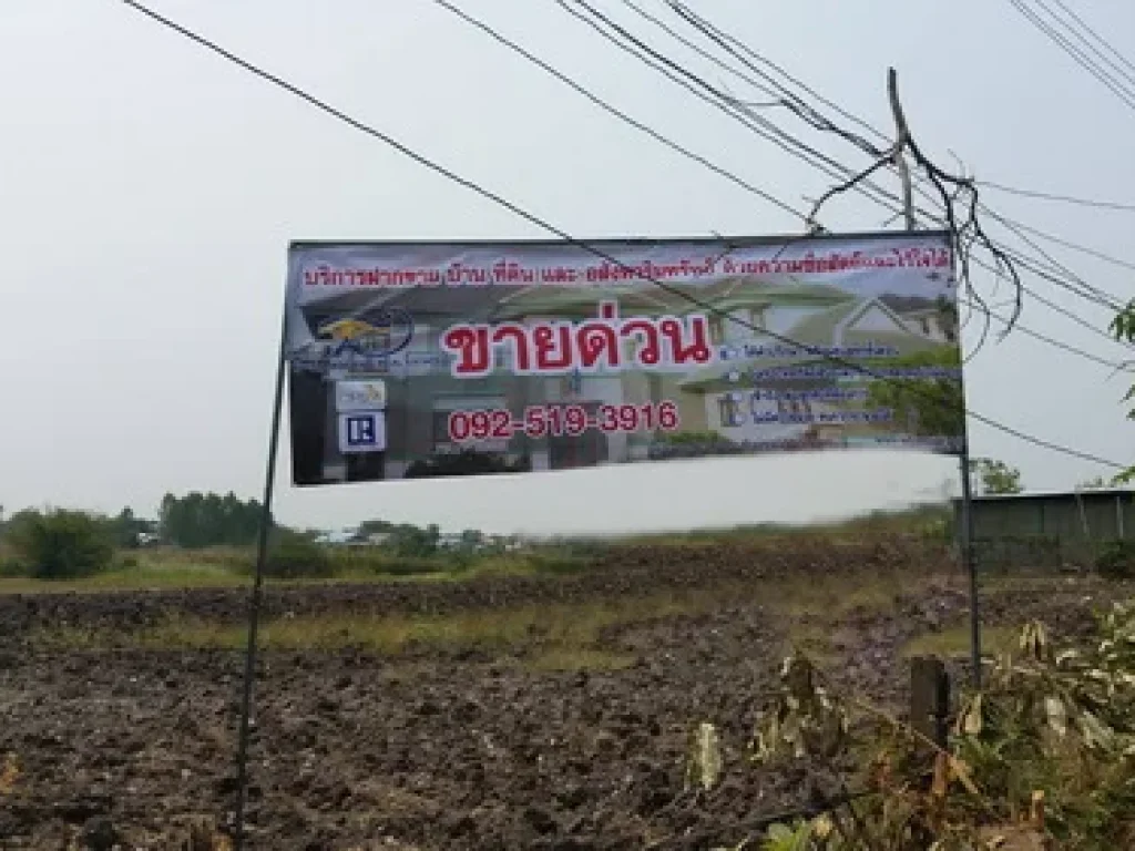 ขายที่ดิน 9 ไร่ ห่างจากถนนหลักเพียง 300 เมตร ซอย เทศบาล 13 ตพุเตย อวิเชียร์บุรี จเพชรบูรณ์