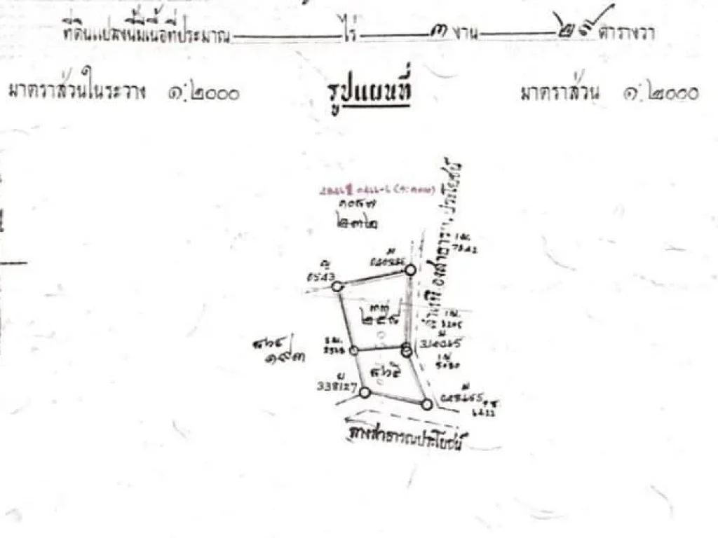 ขายที่ดินยางเนิ้ง ห่างตลาด 70 เมตร ราคาถูก