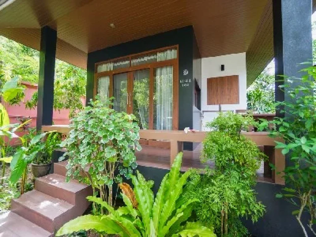 Selling business rental Villa house and Hostel in KOh Samui