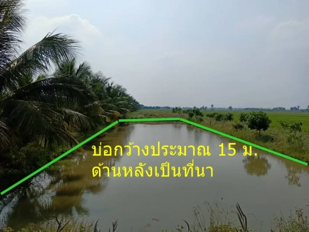 ขายที่ดิน7-3-82 ไร่ ที่นา ติดถนน ขุดบ่อไว้ด้านหน้า อลาดหลุมแก้ว ปทุมธานี ตรงข้ามโรงเรียนกันตวรรณ