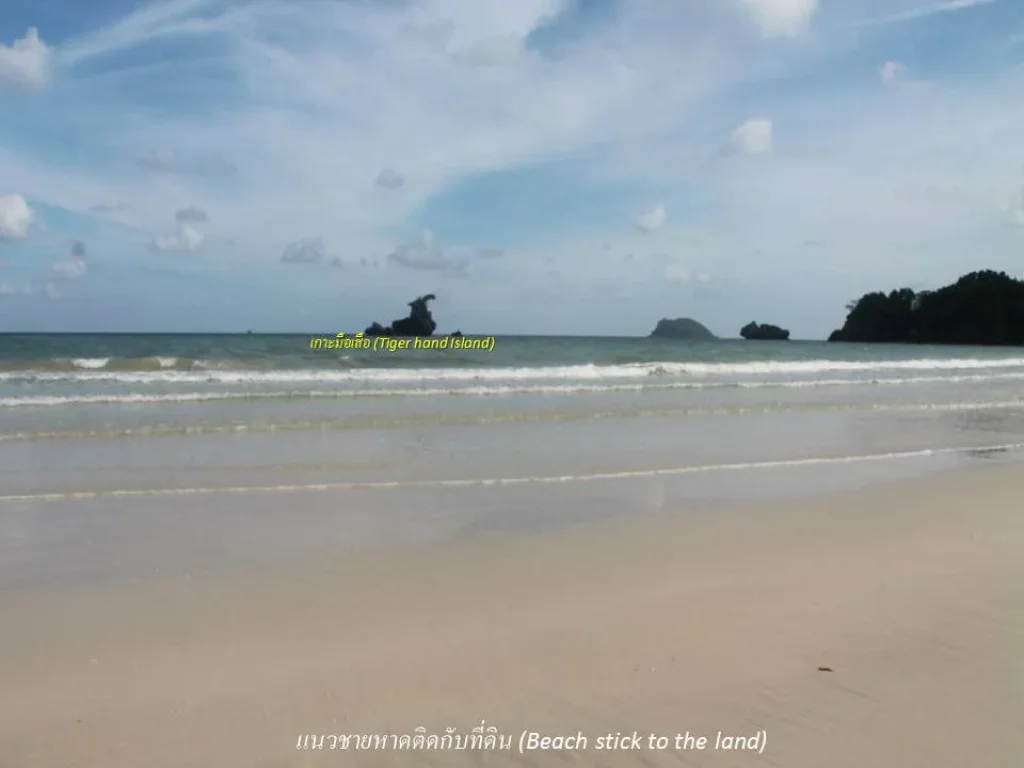 ขายที่ดินชายหาดงดงามน้ำทะเลใส จชุมพร เป็นโฉนด 18 ไร่ 3 งาน 85 ตรว