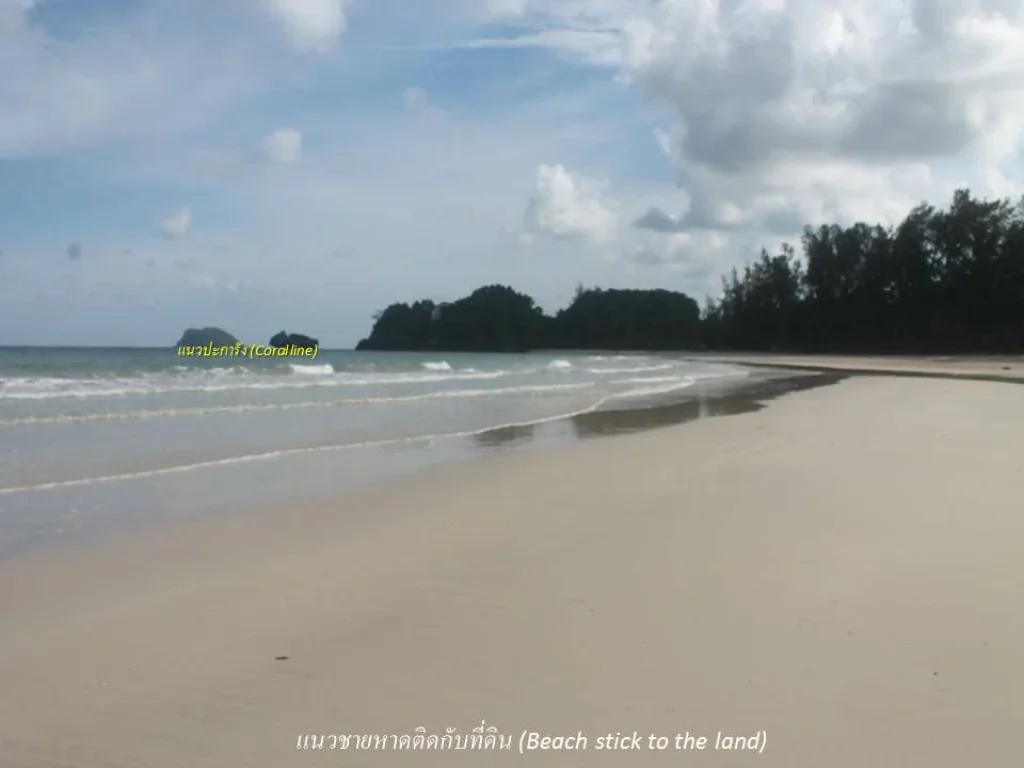 ขายที่ดินชายหาดงดงามน้ำทะเลใส จชุมพร เป็นโฉนด 18 ไร่ 3 งาน 85 ตรว