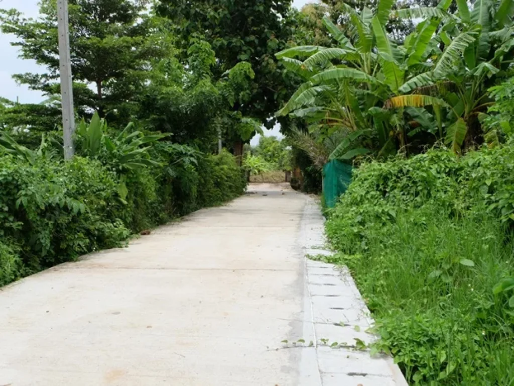 ที่นาติดหมู่บ้านจัดสรร ใกล้ถนนดอยสะเก็ด บ่อสร้าง เชียงใหม่