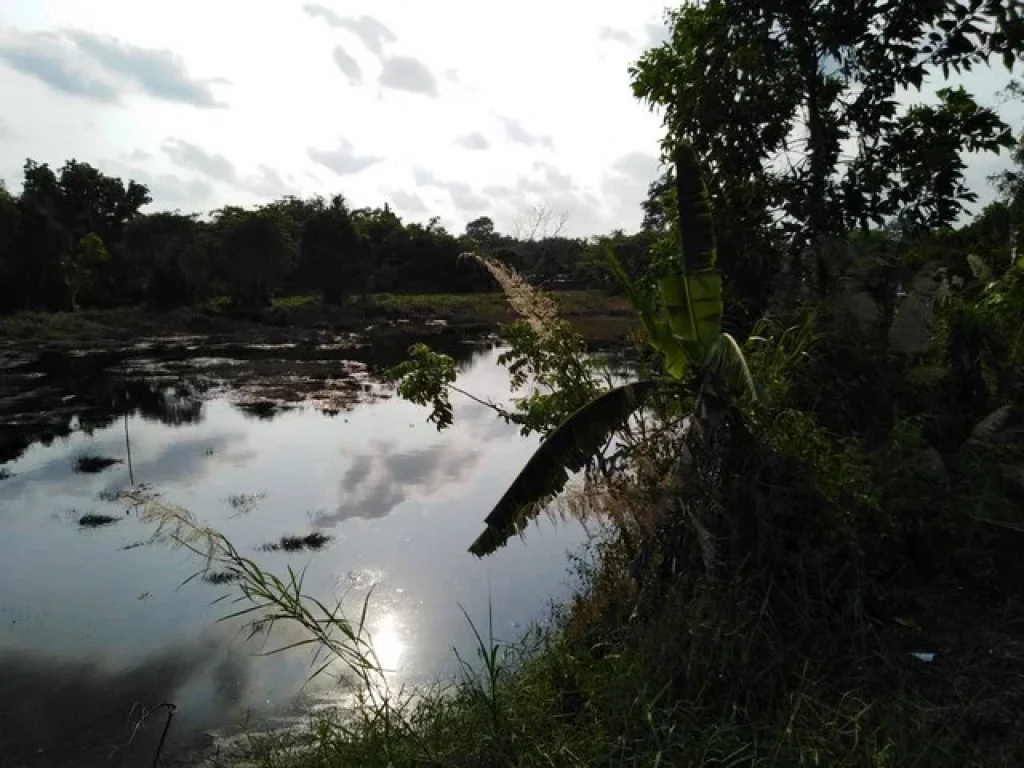 ที่ดิน อเมืองจันทบุรีเกือบๆ 10 ไร่ ติดถนนคมนาคมสะดวกสบาย