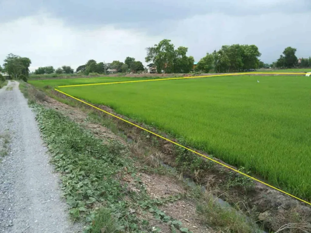 ขายที่ดิน 11ไร่ ใกล้ถนน อำเภอบางซ้าย จังหวัดพระนครศรีอยุธยา