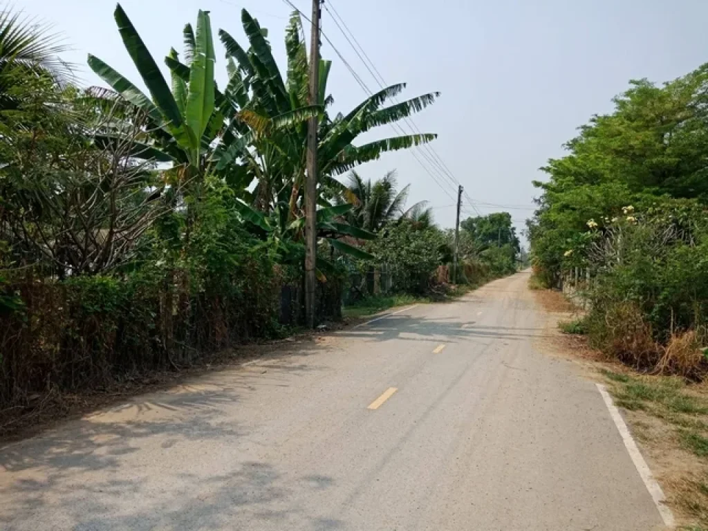 ขายที่ดินสวนผลไม้ ติดถนนคลองสี่ตะวันตก 22 คลองหลวง ปทุมธานี เนื้อที่ 8-2-62 ไร่