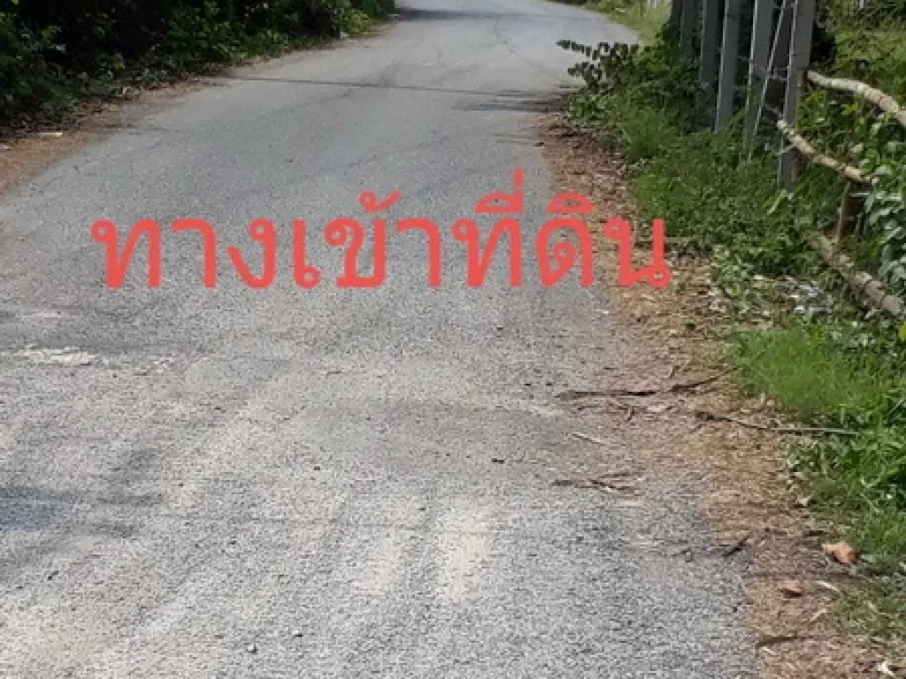 ขายที่ดินถมแล้ว เนื้อที่ 17 ไร่ ติดถนนสายชนบท ต สาริกา นครนายก