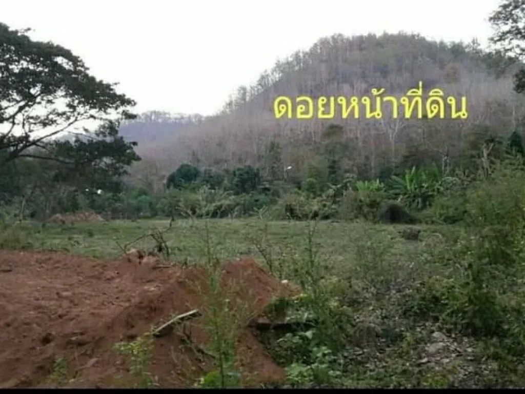 ขายที่ดินติดดอยคำฮิวล์รีสอทร์