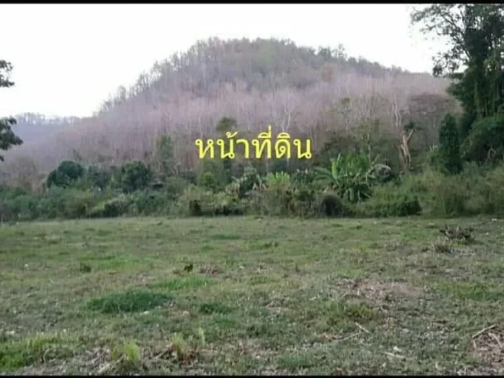 ขายที่ดินติดดอยคำฮิวล์รีสอทร์