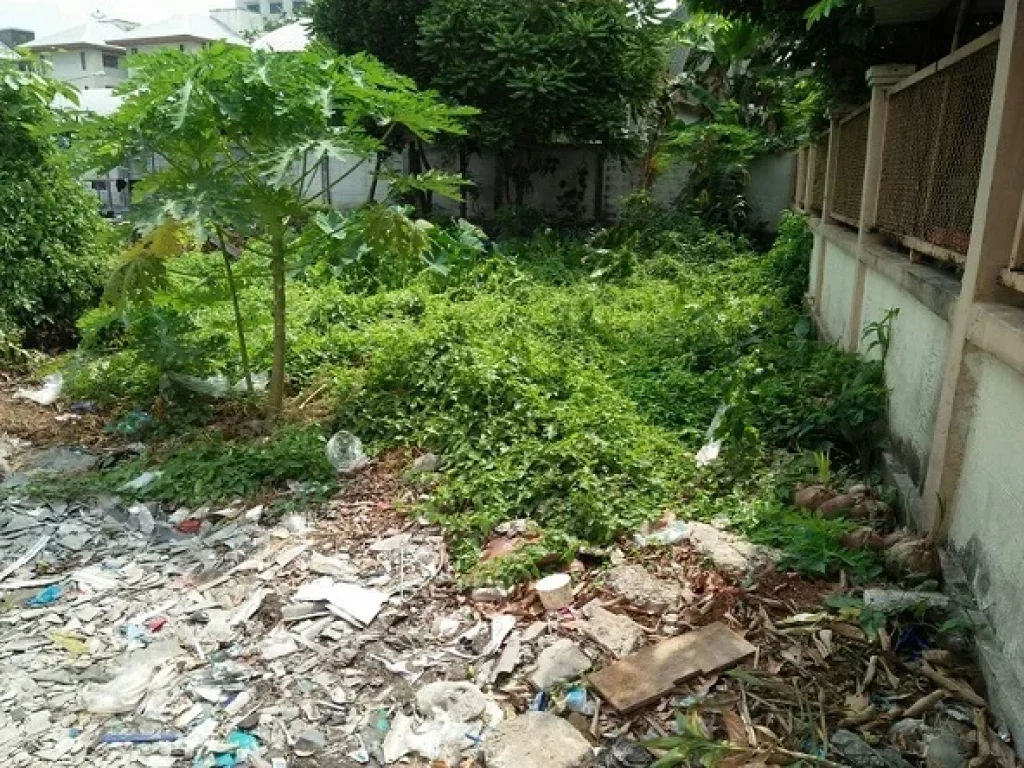 ขายที่ดิน 89 ตรว ซอยพึ่งบุญ ถนนสรรพาวุธ ตรงข้ามไปรษณีย์บางนา กรุงเทพฯ