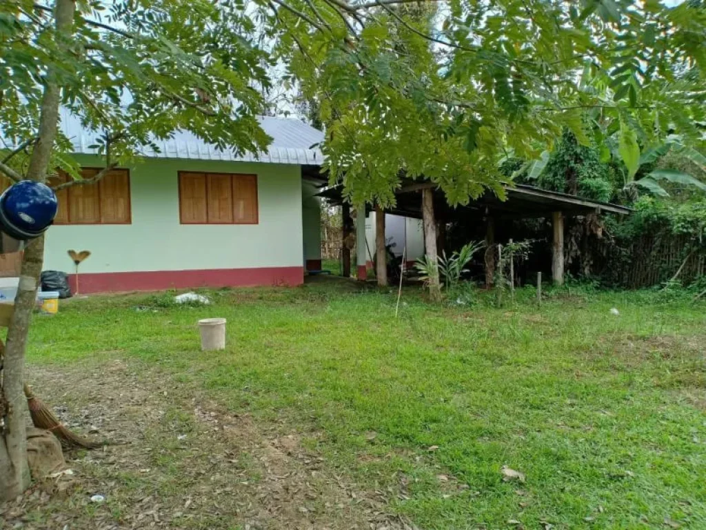 ขายที่ดินพร้อมบ้านเก่า แม่ปูคา