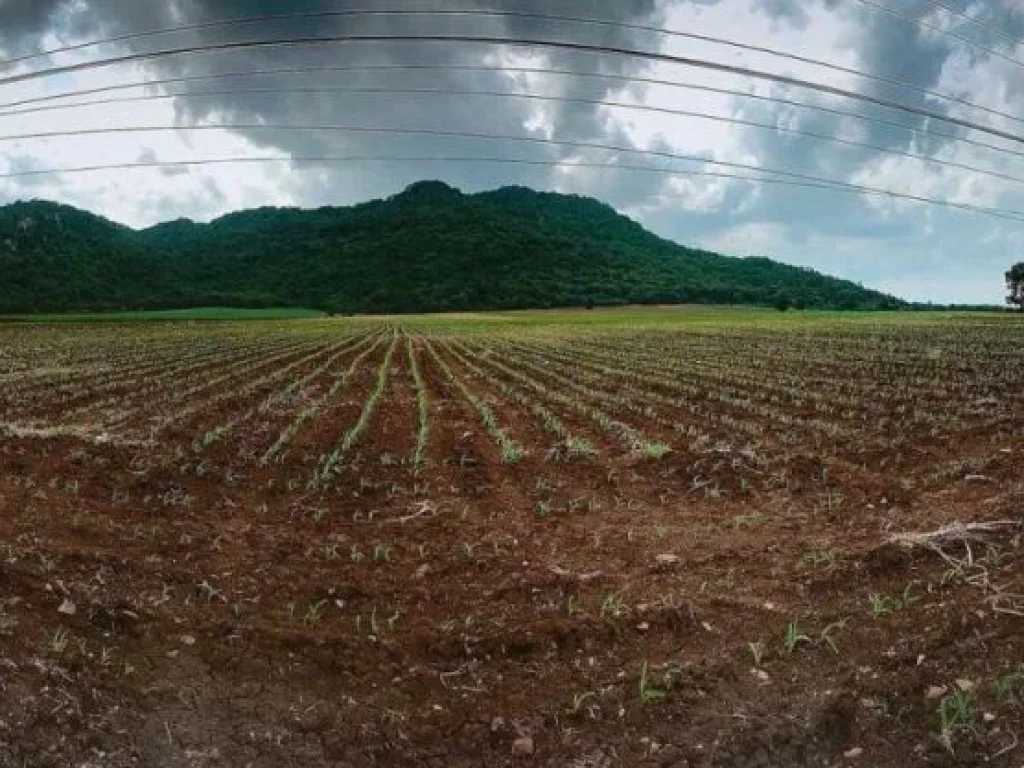 ขายที่ดิน ใกล้ วนอุทยานถ้ำเพชร-ถ้ำทอง แถวตาคลี หนองพิกุล ตากฟ้า นครสวรรค์