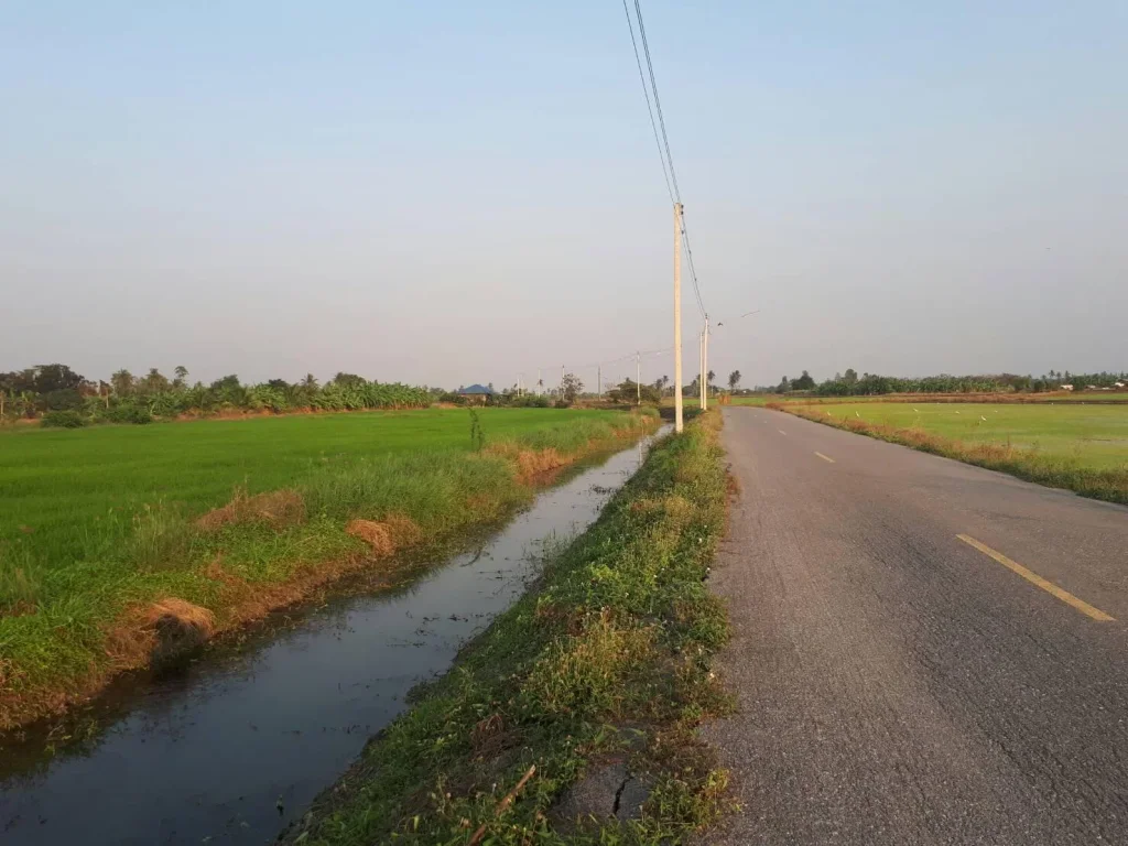 ขายที่ดินแปลงสวย ใกล้ชุมชน ใกล้สถานปฏิบัติธรรม 10-3-78ไร่หน้ากว้างติดถนนลาดยาง600เมตรเหมาะทำธุรกิจจัดสรรและธุรกิจอื่นๆ