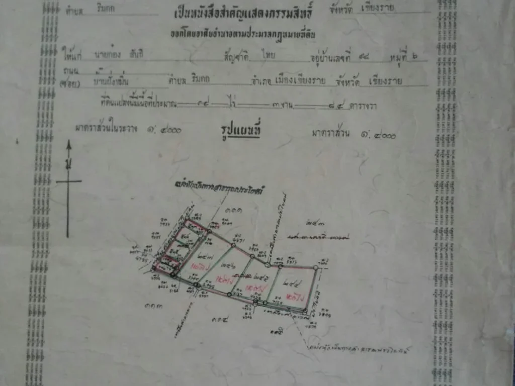 ขายด่วน ที่ดิน120ตรว ตริมกก ใกล้งานเชียงรายดอกไม้งาม ที่สวยแปลงหัวมุม