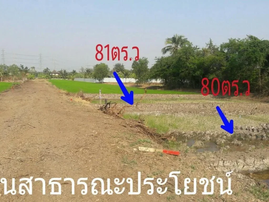 ที่สวย ราคาถูก แหล่งชุมชน 80ตรว 600000- ใกล้โรงพยาบาลไทรน้อย