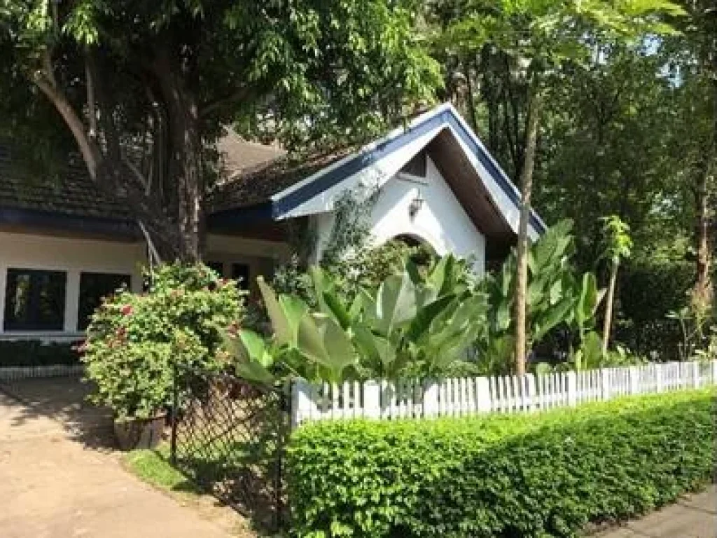 Beautiful Home 3 Bedrooms with big garden and Swimming Pool for rent Sukhumvit 39 Phomphong and Petchaburi Road