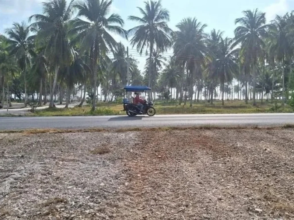 ขายที่ดิน 148 ตรว ใกล้หาดขนอม 300ม ใกล้โรงแรมและรีสอร์ทหลา