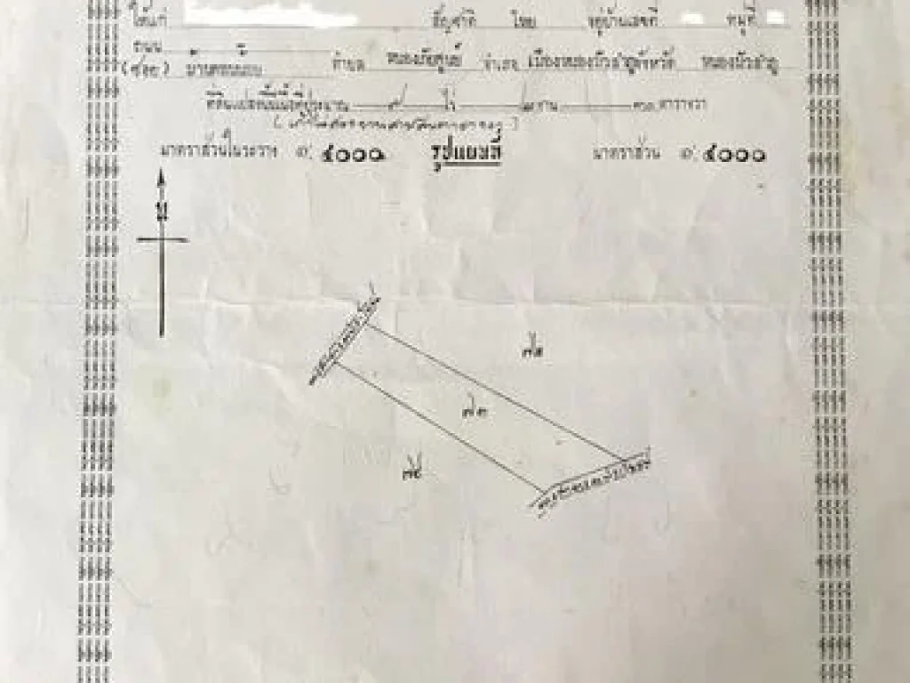 ขายทีดิน 9 ไร่ 2 งาน 30 ตรวา หลัง ไทวัสดุ จหนองบัวลำภู