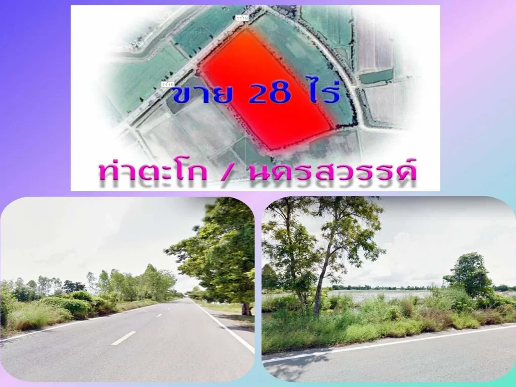 ขายที่ดิน 28 ไร่ ราคาถูกมาก ติดถนนลาดยาง ท่าตะโก นครสวรรค์