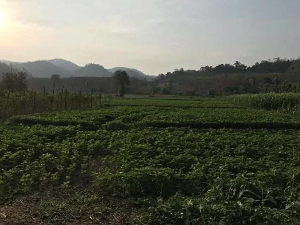 ที่ดินสวยวิวภูเขา ติดลำห้วยหมู่บ้านอู่ล่อง มีน้ำตลอดปี