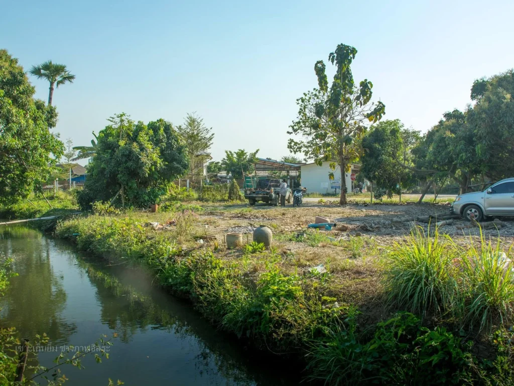 ขายที่ดินพญาชมภู 205 ตรว หน้าติดถนนสองด้าน หลังติดลำธารน้ำธรรมชาติ เดินทาง 20 กมเข้าเมืองเชียงใหม่