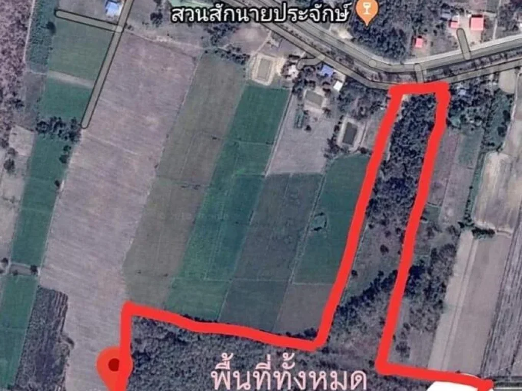 ขายที่ดิน80ไร่ พร้อมไม้สักอายุ 30-40ปี