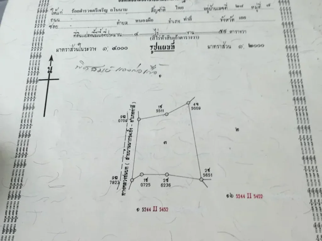 ขายที่โฉนด62ไร่ติดทางดำเข้าด่านศุลกากรท่าลี่ไร่ละ8แสน