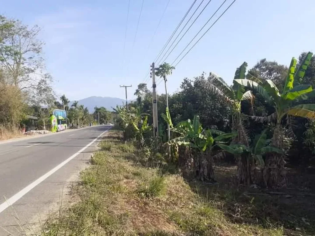 แบ่งขายสวนผสม 6 ไร่ ติดถนนลาดยางสายคิชฌกูฏ - ทุ่งสะพาน-วังแซ้ม 65 ม ทำล้ง รีสอร์ทได้ วิวภูเขา 2 ด้าน ตชากไทย อเขาคิชฌ