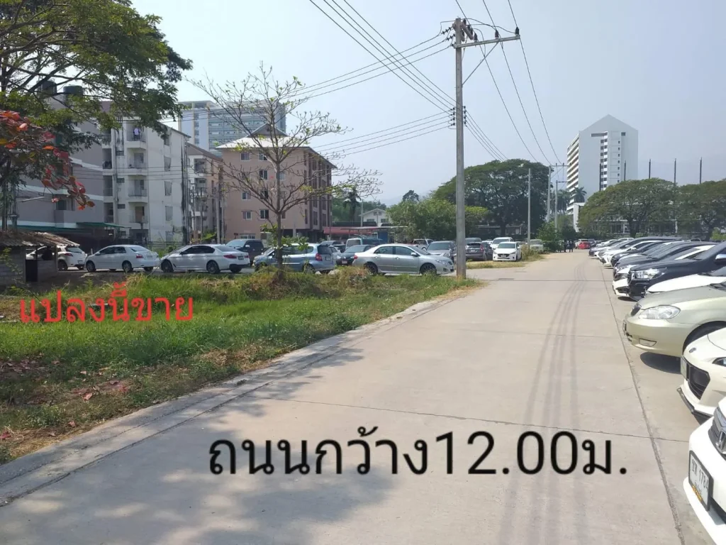 ฿ขายที่ดินกลางเมืองเชียงใหม่456ตรวอยู่ข้าง มราชภัฏเชียงใหม่ผังเมืองโซนสีส้มสร้างอาคารสูงได้7ชั้นขายถูกๆ