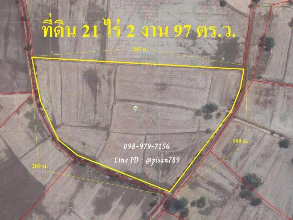 P238 ขายที่ดิน 21 ไร่ 2 งาน 97 ตรว อำเภอหนองมะโมง จชัยนาท ผังสีเขียว