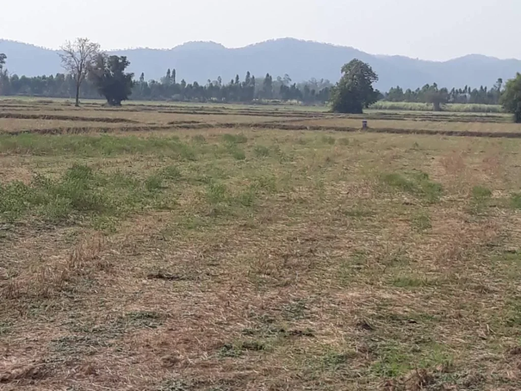 ขายถูก ที่ิดินวิวเขา สุพรรณอู่ทอง บรรยากาศดีมาก เหมาะสร้างบ้านสวนยามเกษียณ