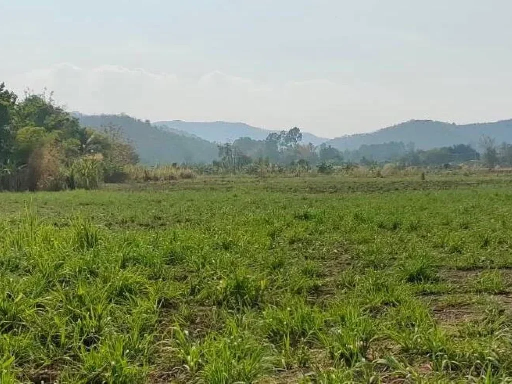 ที่ดินโฉนดสี่เหลี่ยมผืนผ้าไฟฟ้าประปาพร้อมและติดลำห้วย