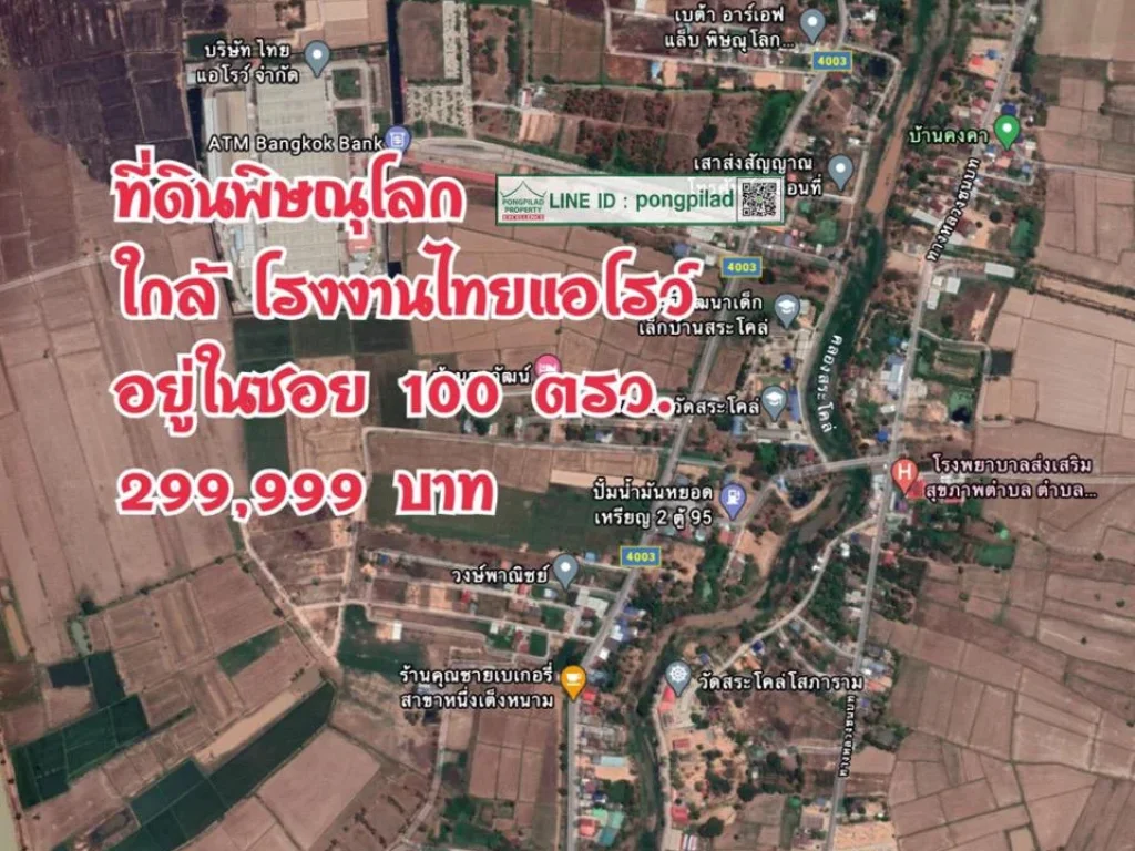 gt ขายที่ดินพิษณุโลก ใกล้โรงงานไทยแอโรว์ 100 ตรว