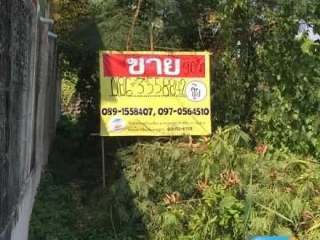 ขายที่ดินเนื้อที่ 90 วา ซอย อ่อนนุช 80 แยก 3 กรุงเทพ